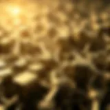 An abstract representation of blockchain technology showcasing interconnected blocks.