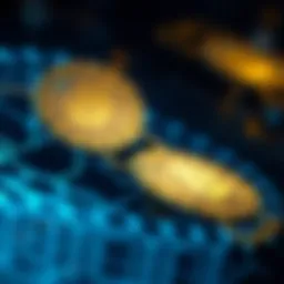 An abstract representation of cryptonight technology