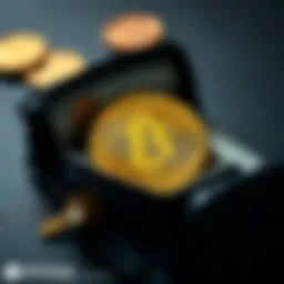 Representation of USD Coin in a digital wallet