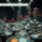 Overview of XRP wealth distribution